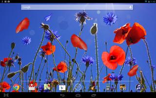 Poppies flowers LWP ภาพหน้าจอ 2