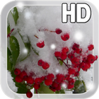 Winter Berry Live Wallpaper आइकन