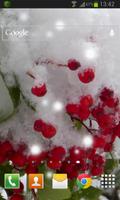 Winter Berry Live Wallpaper 스크린샷 1