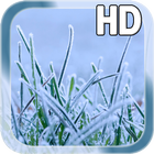 Winter Grass LWP Free icône