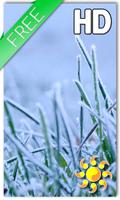 Winter Grass LWP Free Affiche