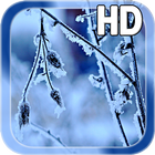 Winter Frost LWP HD icône