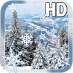 Winter Forest Live Wallpaper