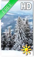 Winter Forest Live Wallpaper Affiche