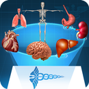 AR Human anatomy APK