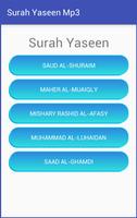 Yaseen Mp3 Audio screenshot 1