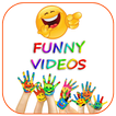 Funny Videos 2017