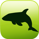 ARCOCEAN - ARC OCEAN AR APK