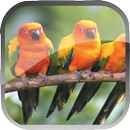 Sleep Sound Aid APK