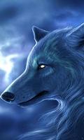 arctic wolf wallpaper poster