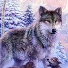 loup arctique lwp icône