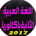 Icona العربية للبكلوريا ادب 2017