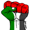 عاجل فلسطين