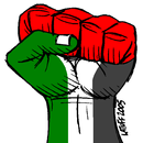 عاجل فلسطين APK