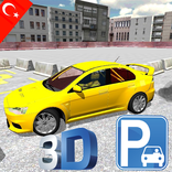 Car Park Challenge 3D
