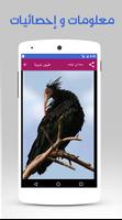 Arabic birds capture d'écran 3