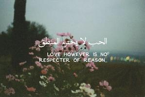 Arabic Quotes about Love ♥ captura de pantalla 3