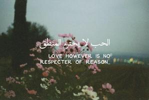 Arabic Quotes about Love ♥ screenshot 3