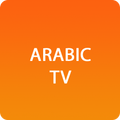 Arabic TV
