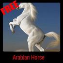 Arabian Horse APK