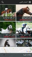 الحصان العربي poster