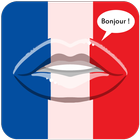 قواعد اللغة الفرنسية كاملة & بدون انترنت 图标