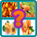 APK Name The Fruit - Kids Funny Game
