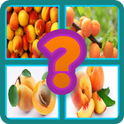 Name The Fruit - Kids Funny Game icône