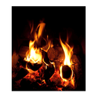 Bonfire Live Wallpaper icon