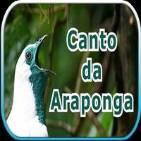 Canto da Araponga Poster