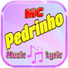 MC Pedrinho music icône