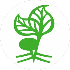 Arbor