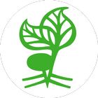 Arbor icon