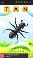 ABC Spelling kids - words & phonics Plakat