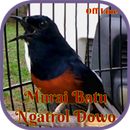 Murai Batu Ngatrol Dowo OFFLIN aplikacja