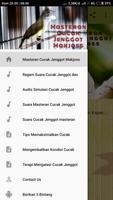 Masteran Cucak Jenggot Makjoss poster