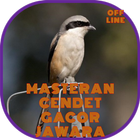 Masteran Cendet Gacor Jawara icon