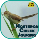 Masteran Ciblek Jawara OFFLINE aplikacja
