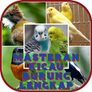 Masteran Kicau Burung Lengkap  APK