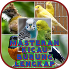 Masteran Kicau Burung Lengkap 图标