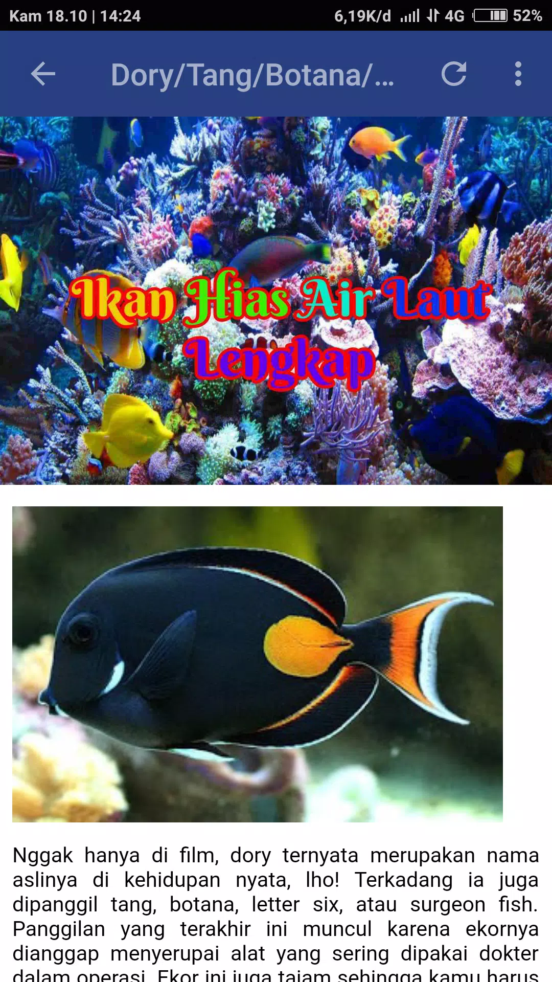 42 Nama Jenis Ikan Hias Air Laut HD Terbaru