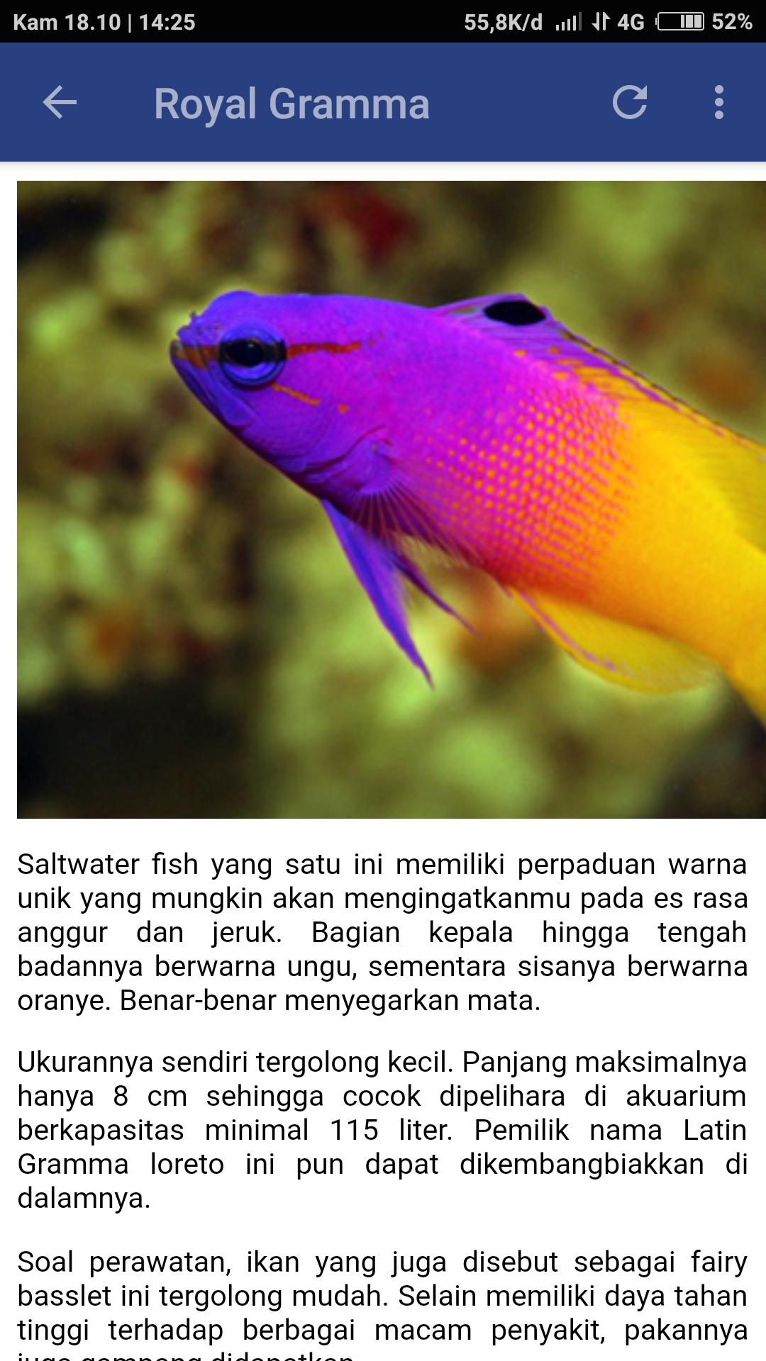48 Gambar Ikan Air Laut Dan Namanya Gratis