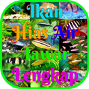 Ikan Hias Air Tawar Lengkap APK