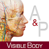 解剖学的構造と生理学 APK