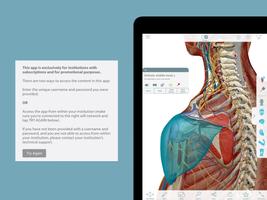 Muscle Premium 17 (Org.) imagem de tela 2