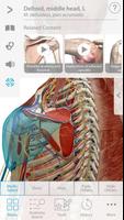 Muscle capture d'écran 1