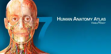 Human Anatomy Atlas 7-Springer