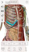 Human Anatomy Atlas 7-Springer पोस्टर
