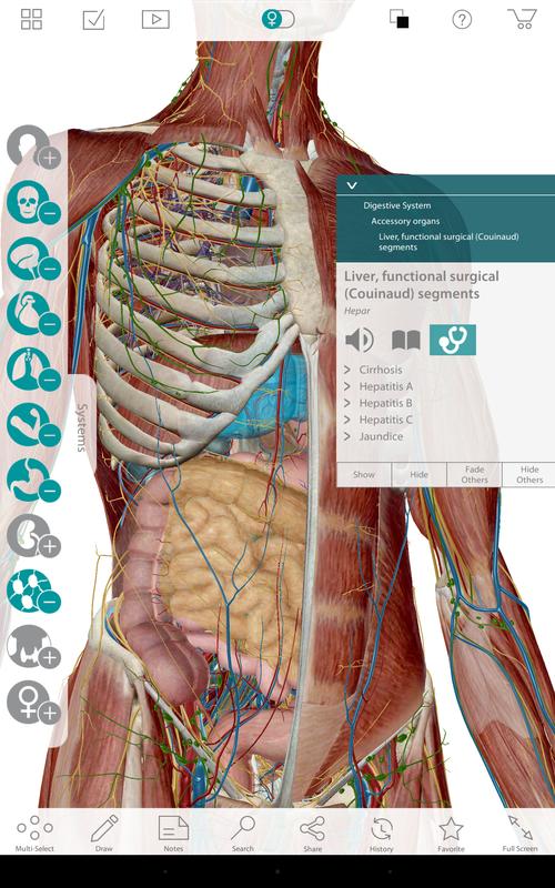 Human Anatomy Atlas 7-Springer for Android - APK Download