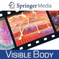 Physiology Animations Springer アプリダウンロード